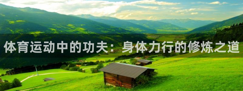 哈哈体育十年