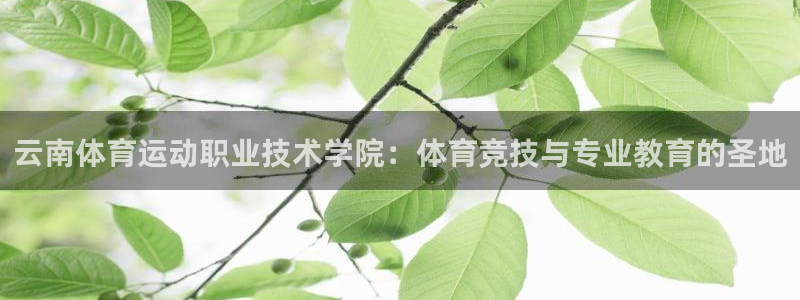 哈哈体育下载