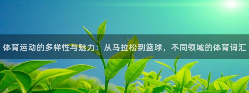哈哈体育十年