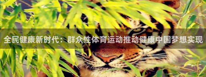 哈哈体育