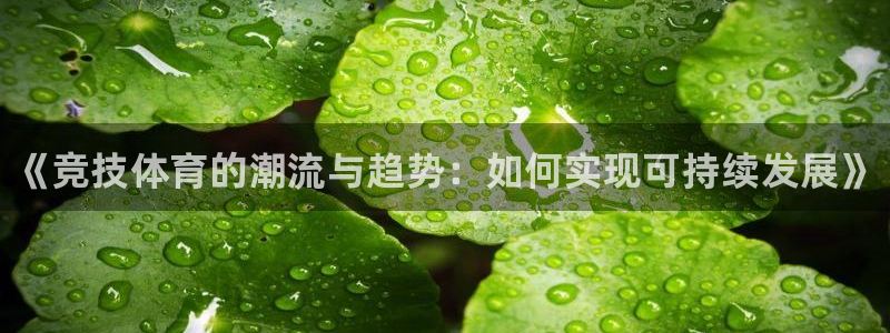 哈哈体育下载