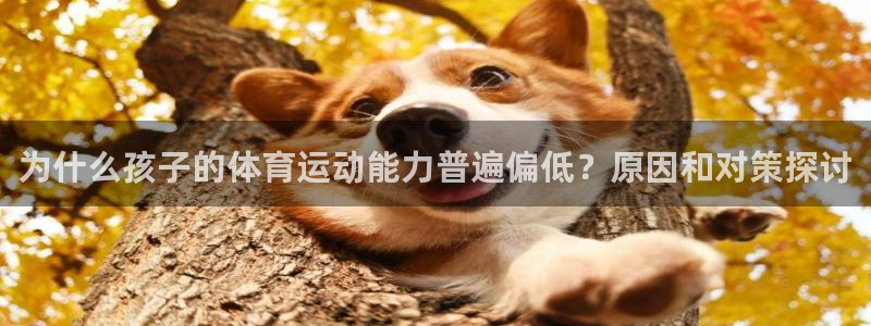 哈哈体育下载