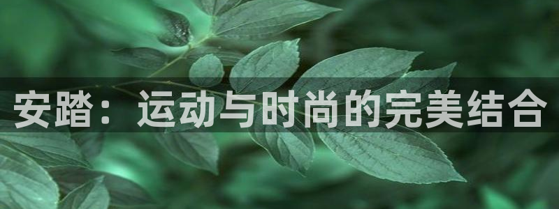 哈哈体育