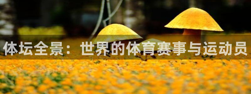 哈哈体育十年