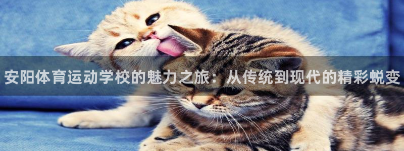 哈哈体育