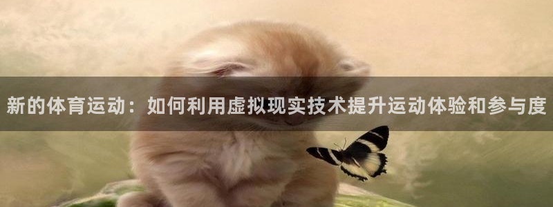哈哈体育下载