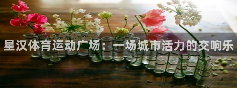 哈哈体育十年