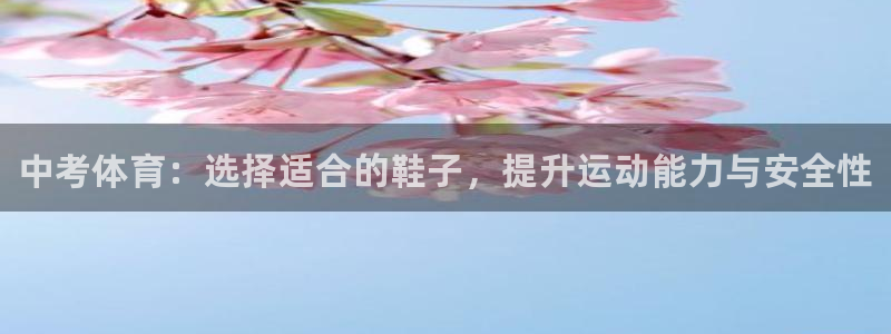 哈哈体育十年