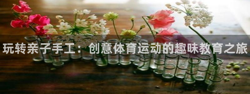 哈哈体育十年