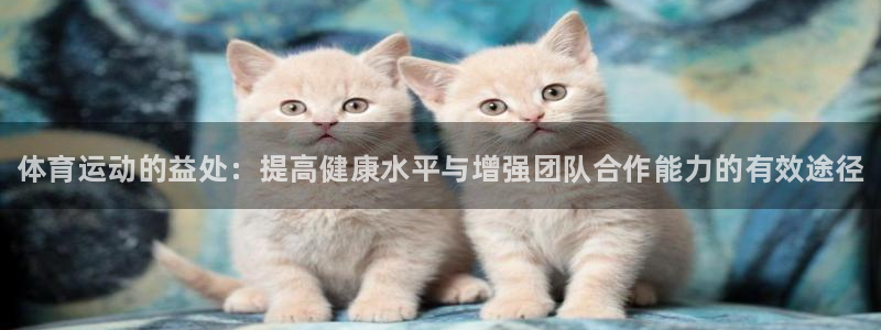 哈哈体育十年