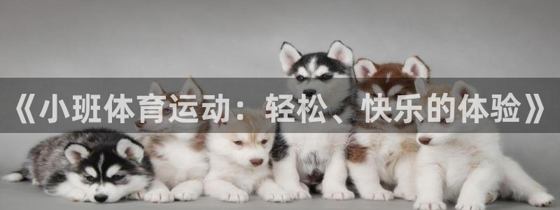 哈哈体育十年