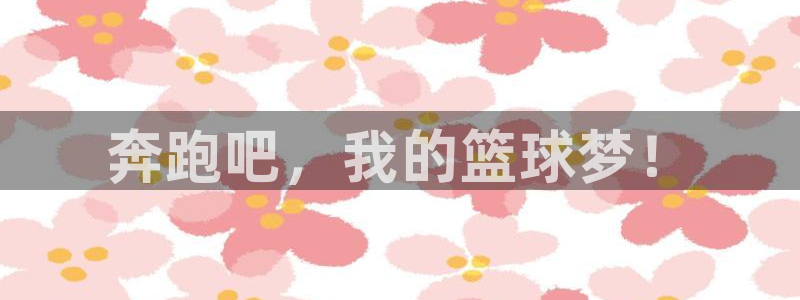 哈哈体育