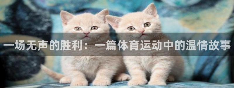哈哈体育