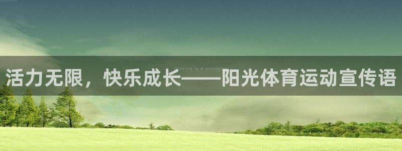 哈哈体育十年