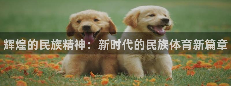 哈哈体育