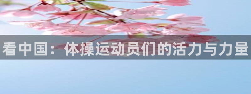 哈哈体育十年