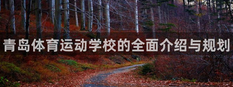 哈哈体育