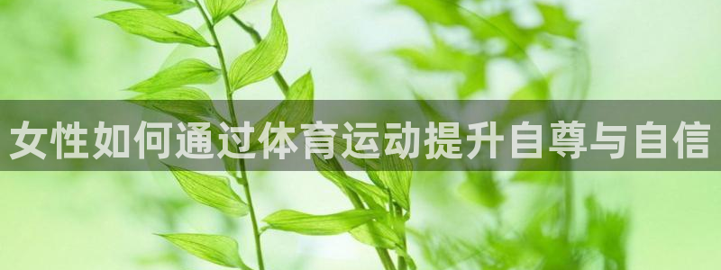 哈哈体育十年