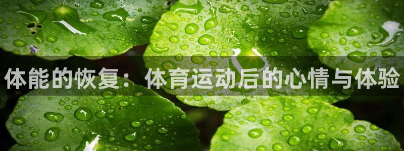 哈哈体育十年
