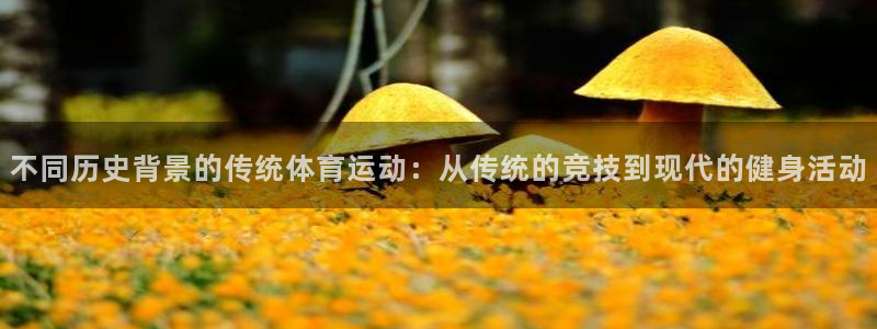 哈哈体育