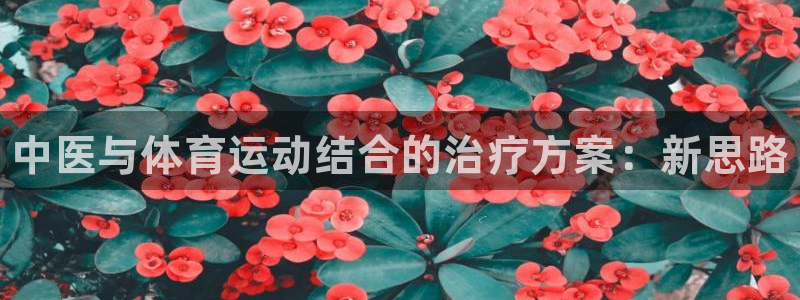 哈哈体育