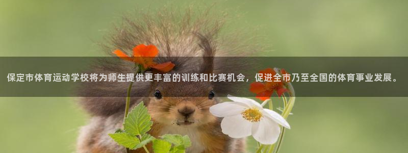 哈哈体育十年