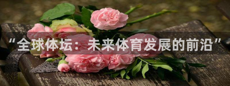 哈哈体育