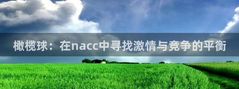 哈哈体育下载