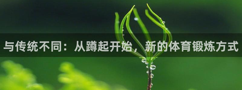 哈哈体育