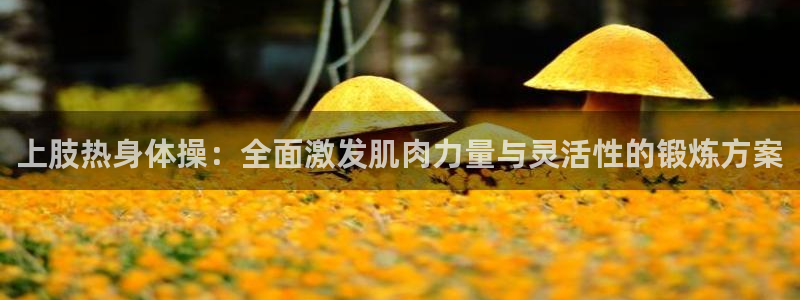 哈哈体育十年