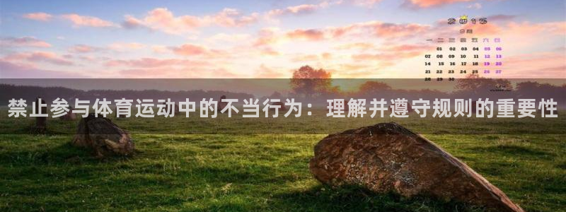 哈哈体育十年