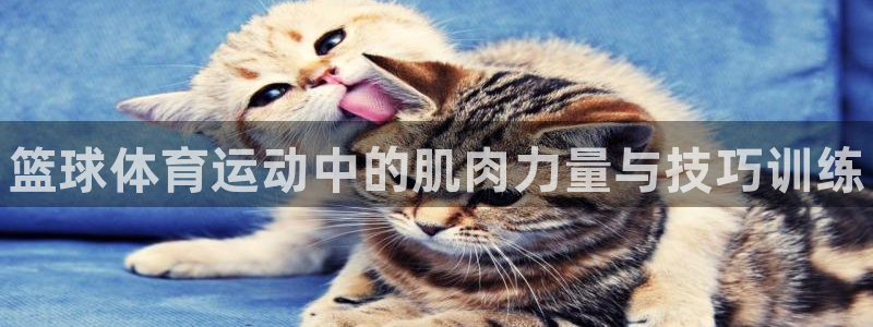 哈哈体育十年