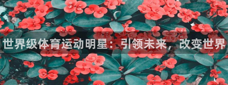 哈哈体育下载