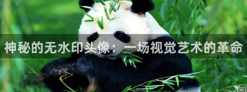 哈哈体育十年